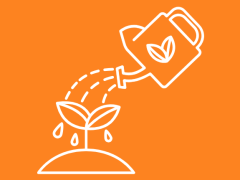 Highlighted image: Gewassen telen (Blog Paul)